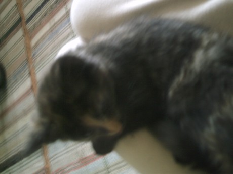 IMAG0108.JPG