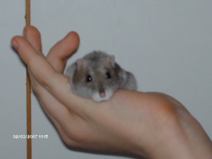 Snímek 009.jpg
