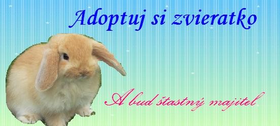 Obrázok