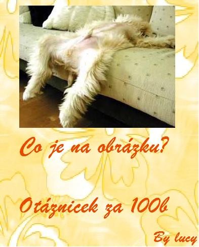 Obrázok