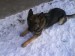 DSC00806.JPG