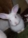 100_0771.JPG